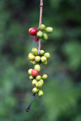 Similar image 1089173