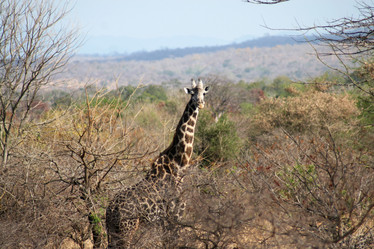 Similar image 1089192