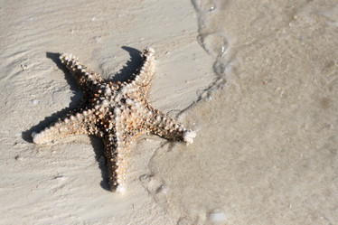 Similar image 1089203