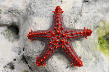 Similar image 1089201