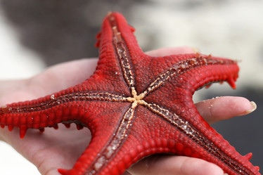 Similar image 1089202