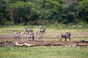 Similar image 1089205