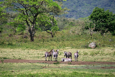 Similar image 1089207