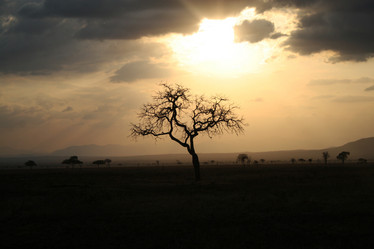 Similar image 1089304