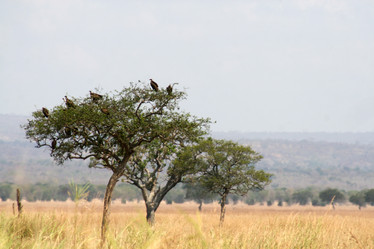 Similar image 1089307