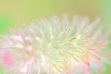 Similar image 1089328