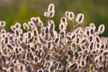 Similar image 1089330