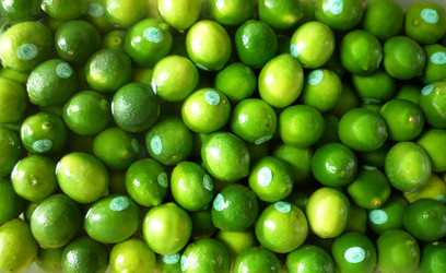 Similar image 1089357