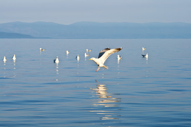 Similar image 1089395