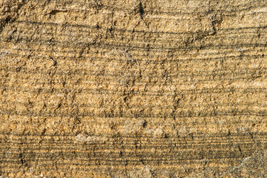 Similar image 1089403