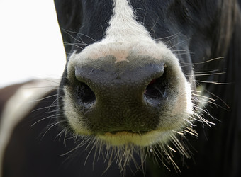 Similar image 1089484