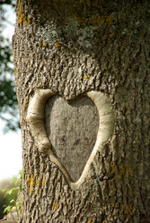 Similar image 1089486