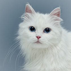 Similar image 1089488