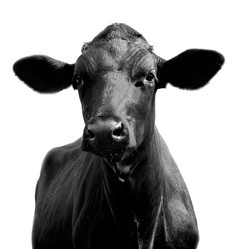 Similar image 1089490