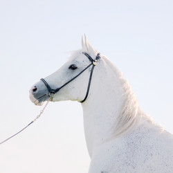 Similar image 1089495