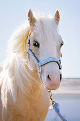 Similar image 1089497