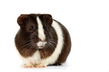 Similar image 1089499