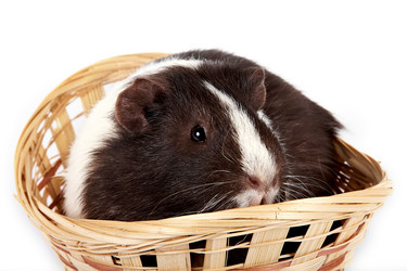 Similar image 1089510