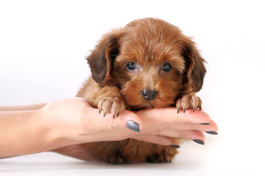 Similar image 1089512