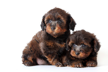 Similar image 1089513