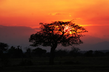 Similar image 1089591