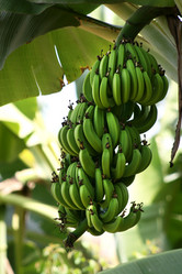 Similar image 1089615