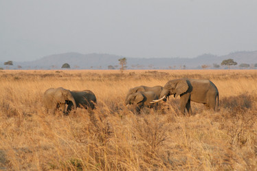 Similar image 1089616