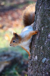 Similar image 1089638