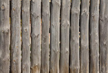 Similar image 1089636