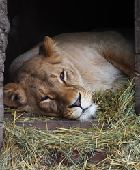 Similar image 1089649