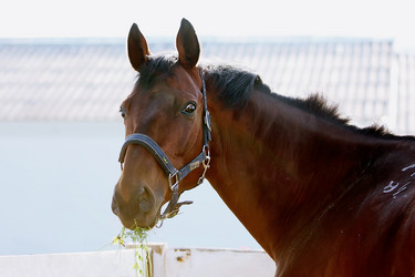 Similar image 1089661