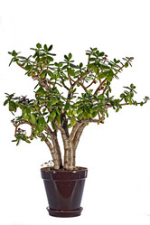 Similar image 1089660