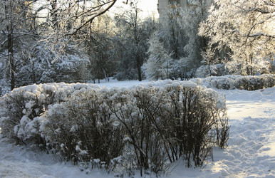 Similar image 1089663