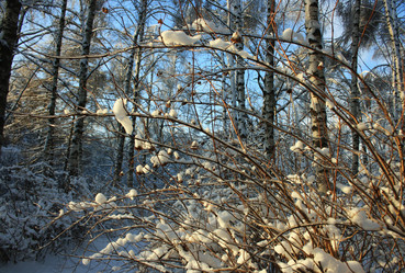 Similar image 1089667