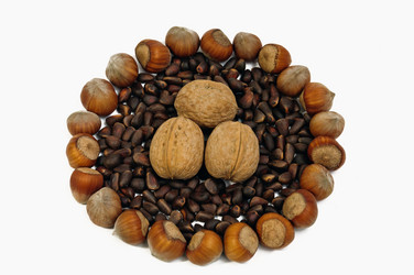 Similar image 1089696