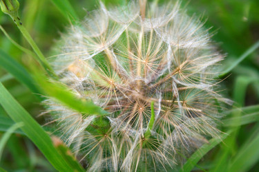 Similar image 1089705