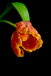 Similar image 1089836