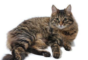 Similar image 1089848