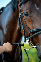 Similar image 1089956