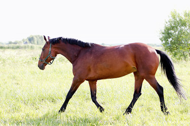 Similar image 1089955