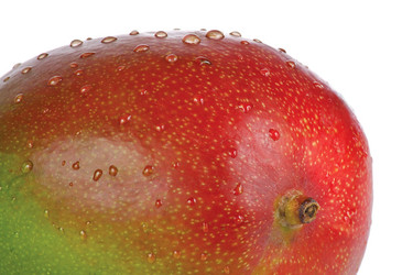 Similar image 1089961