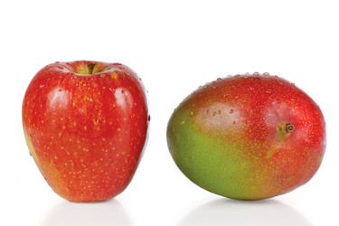 Similar image 1089963