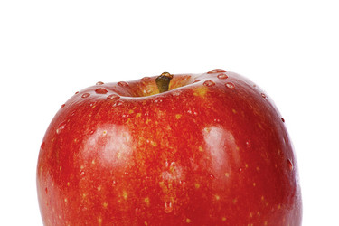 Similar image 1089969