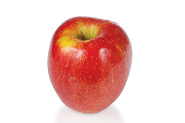 Similar image 1089974