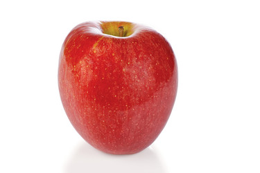 Similar image 1089973