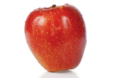 Similar image 1089970