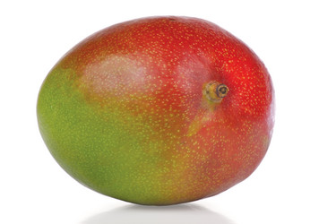 Similar image 1089975