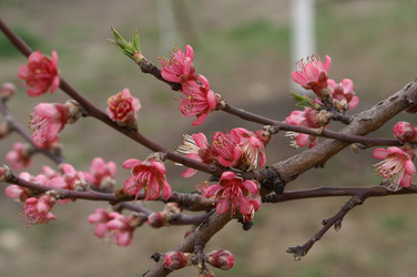 Similar image 1090205