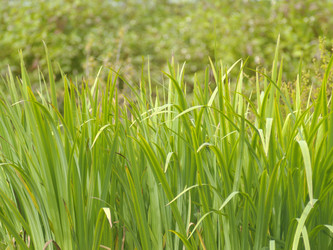 Similar image 1090206