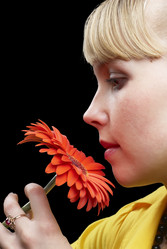 Similar image 1090527